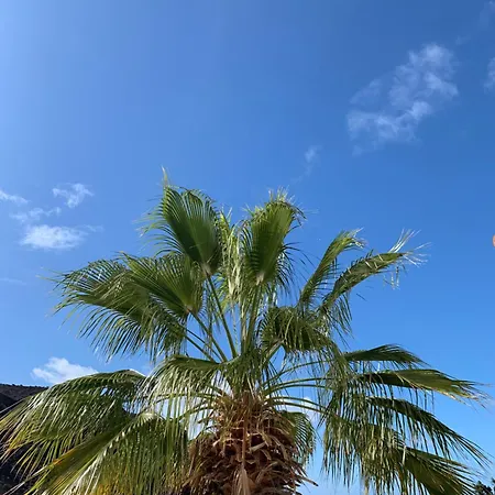 New Seaviews Puerto דירה